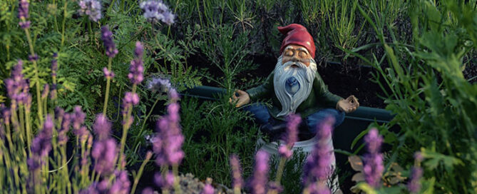 gnome meditating in garden