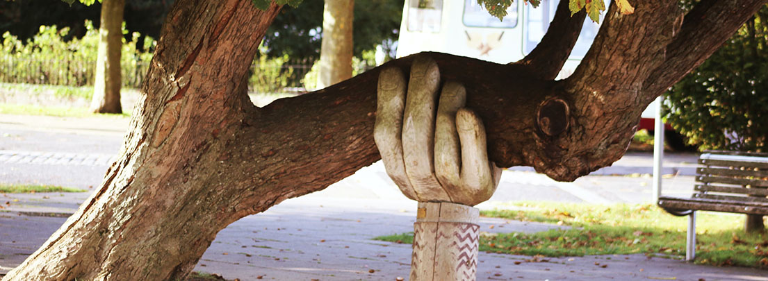 hand supporting tree