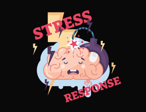 How Our Bodies Respond to Stress