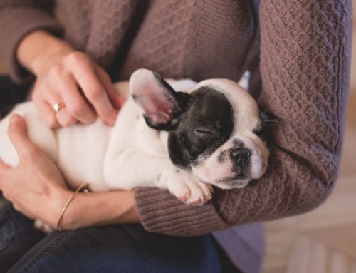 Finding Safety in Service: How Helping Others Regulates Our Own Minds